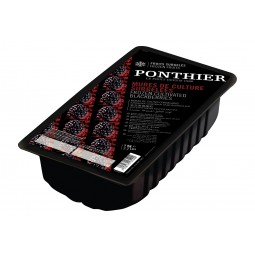Ponthier IQF Cultivated Blackberries (1kg)