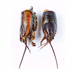 Frozen Raw Canadian Lobster Head (5kg)
