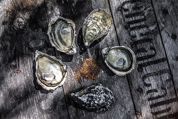 Oysters with avocado and red wine vinegar