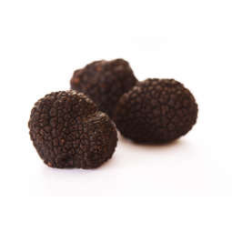 Black winter truffle (Tuber Melanosporum) first class - price $110 per 50g. Different weights available