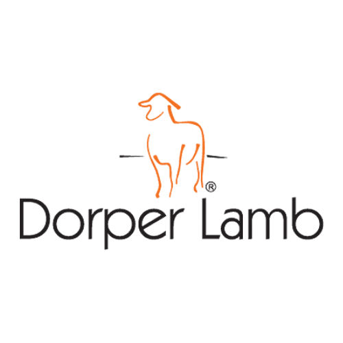Dorper Lamb